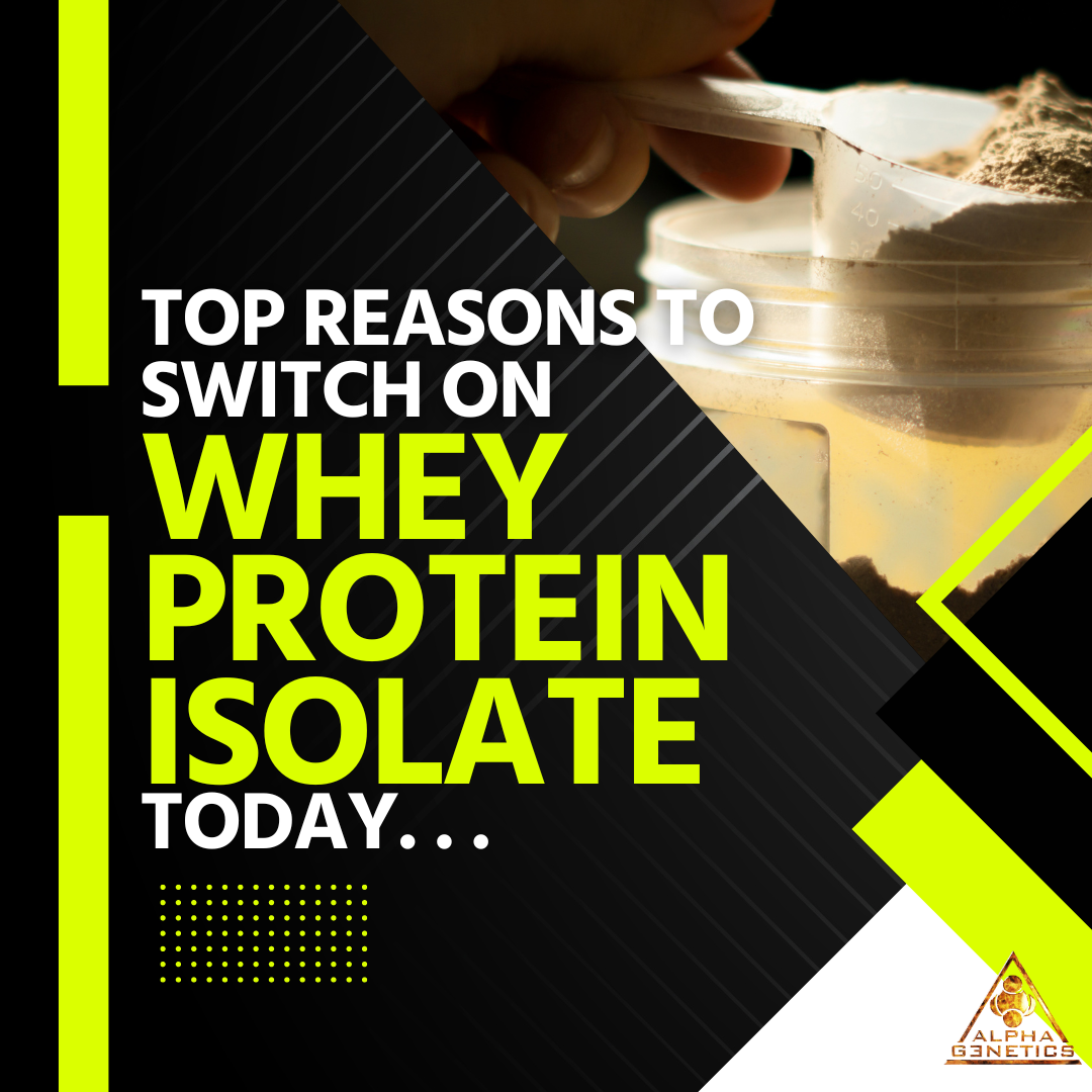 Top Reasons to Switch on Whey Protein Isolate Today