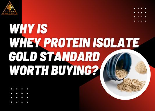 Why Is Whey Protein Isolate Gold Standard Worth Buying